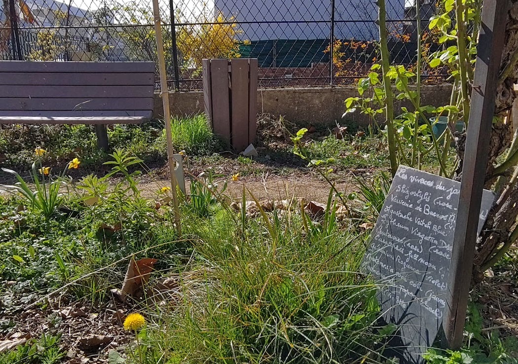partagé Hoffmann Garden 3