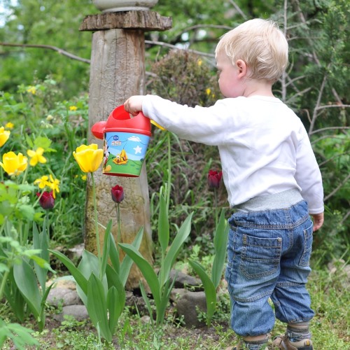 Little Wonders: Here Comes Spring! 1