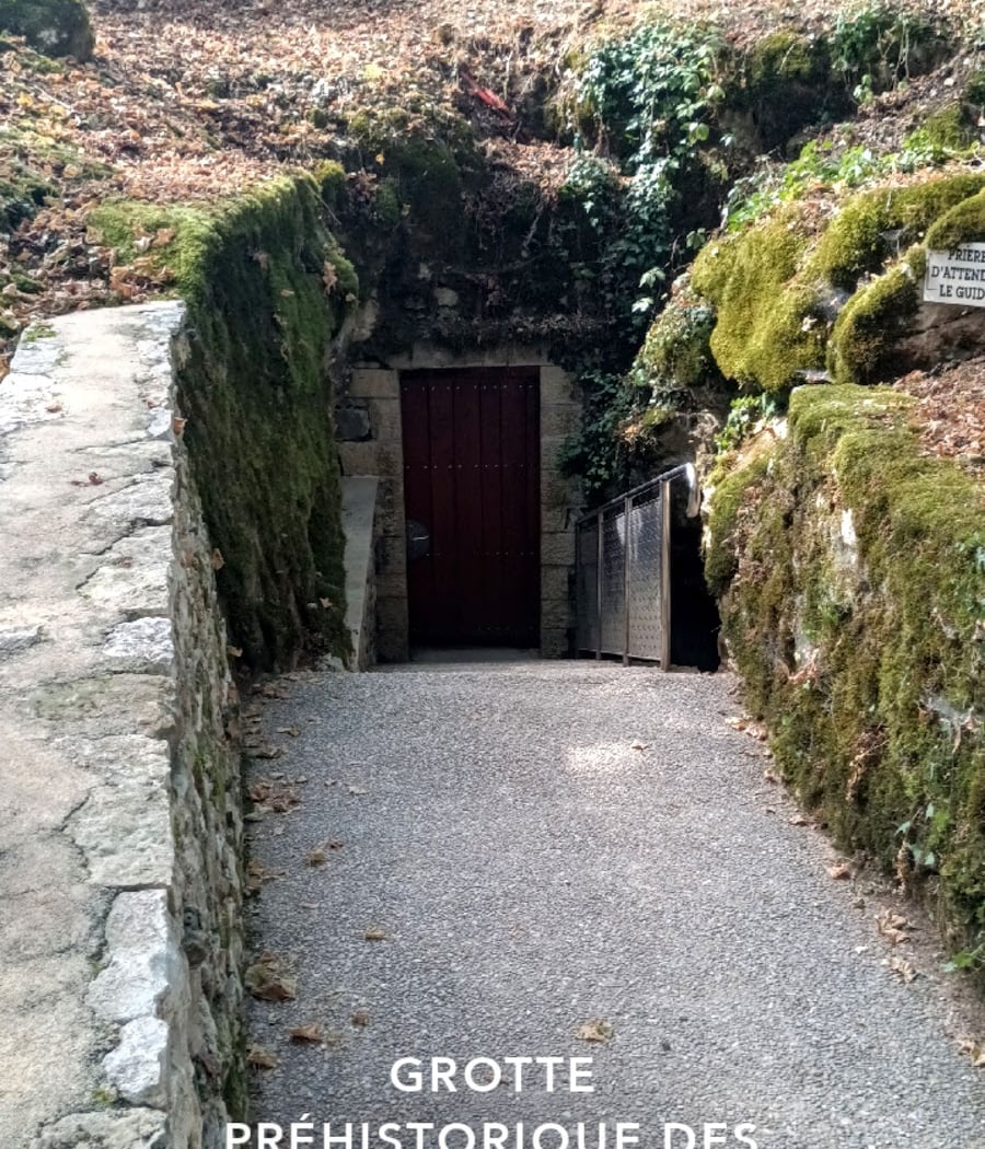 Grotte Préhistorique des Merveilles 3