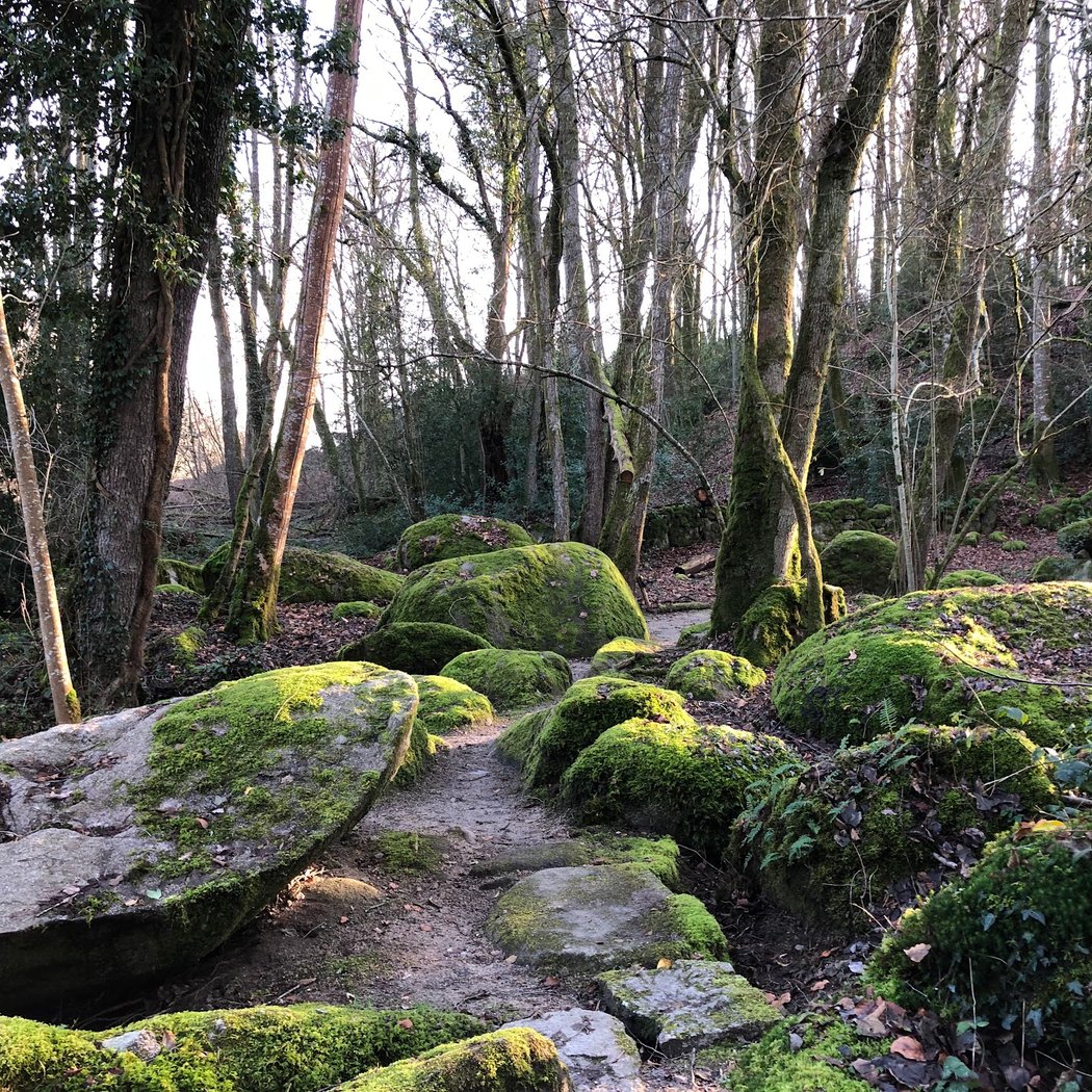 Parc des Parelles 1