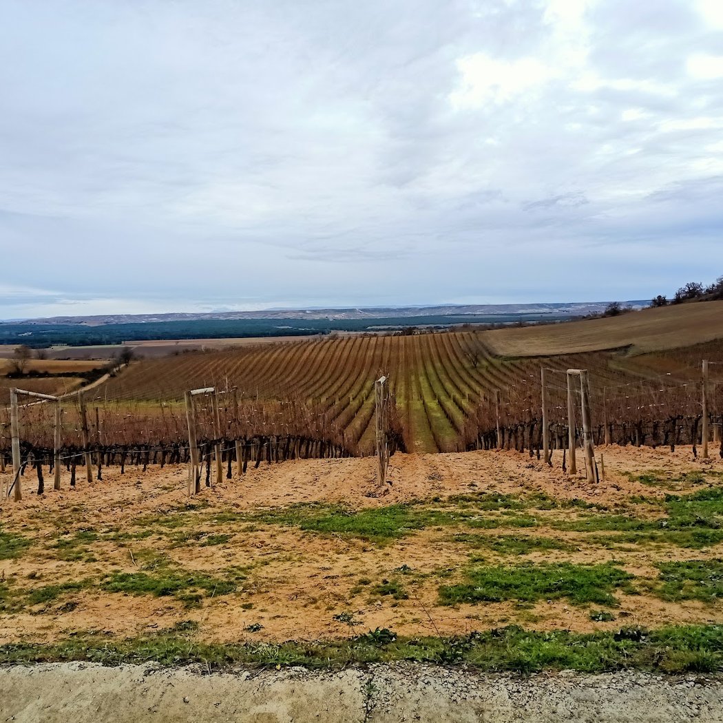 Bodegas Vizcarra 3