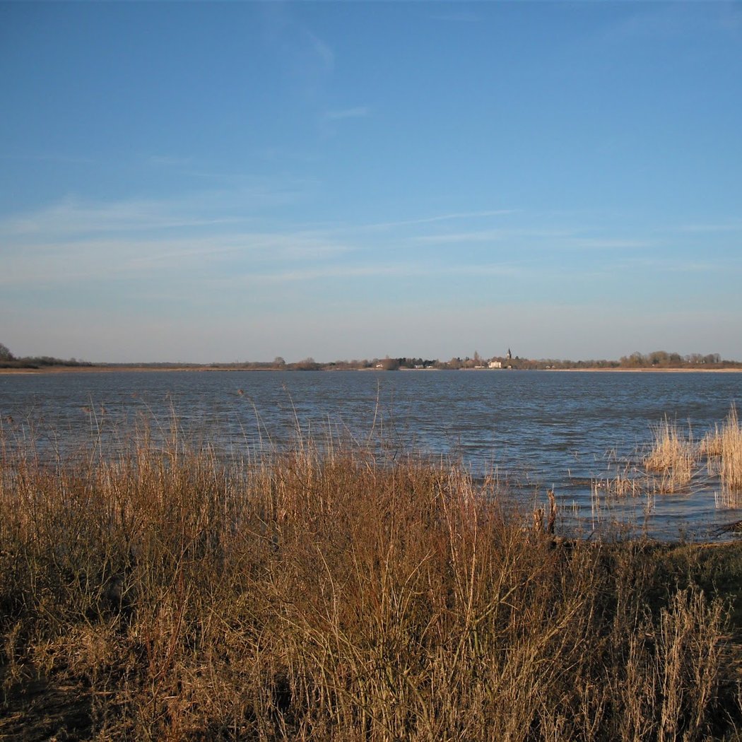 Étang de Lachaussée 2