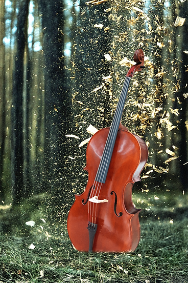 Conférence : La lutherie, de la forêt à l'orchestre 1