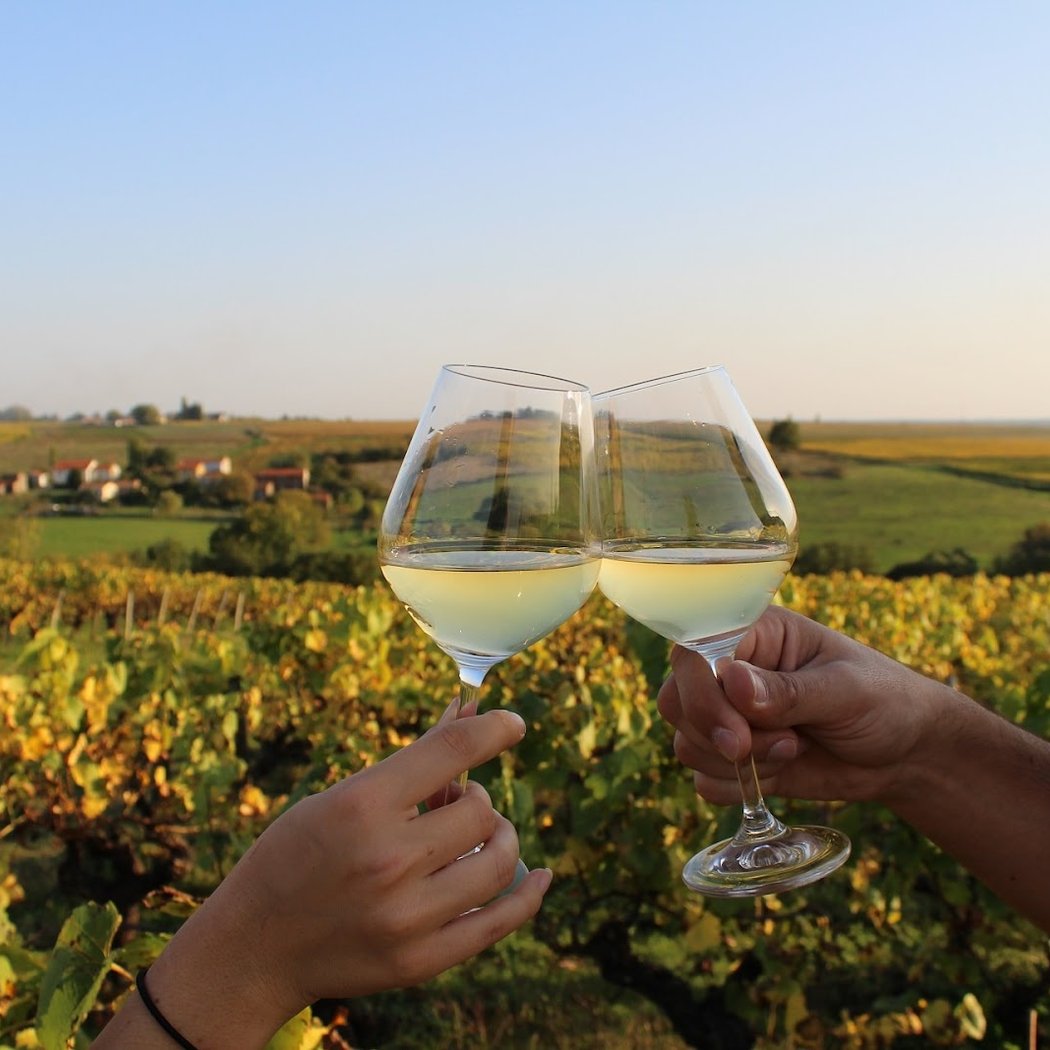 Domaine Delaunay 1