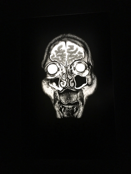 Exposition Michel Houellebecq « Rester vivant » 3