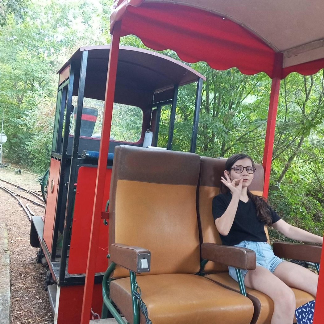 Le Petit Train Touristique de Nantes 2