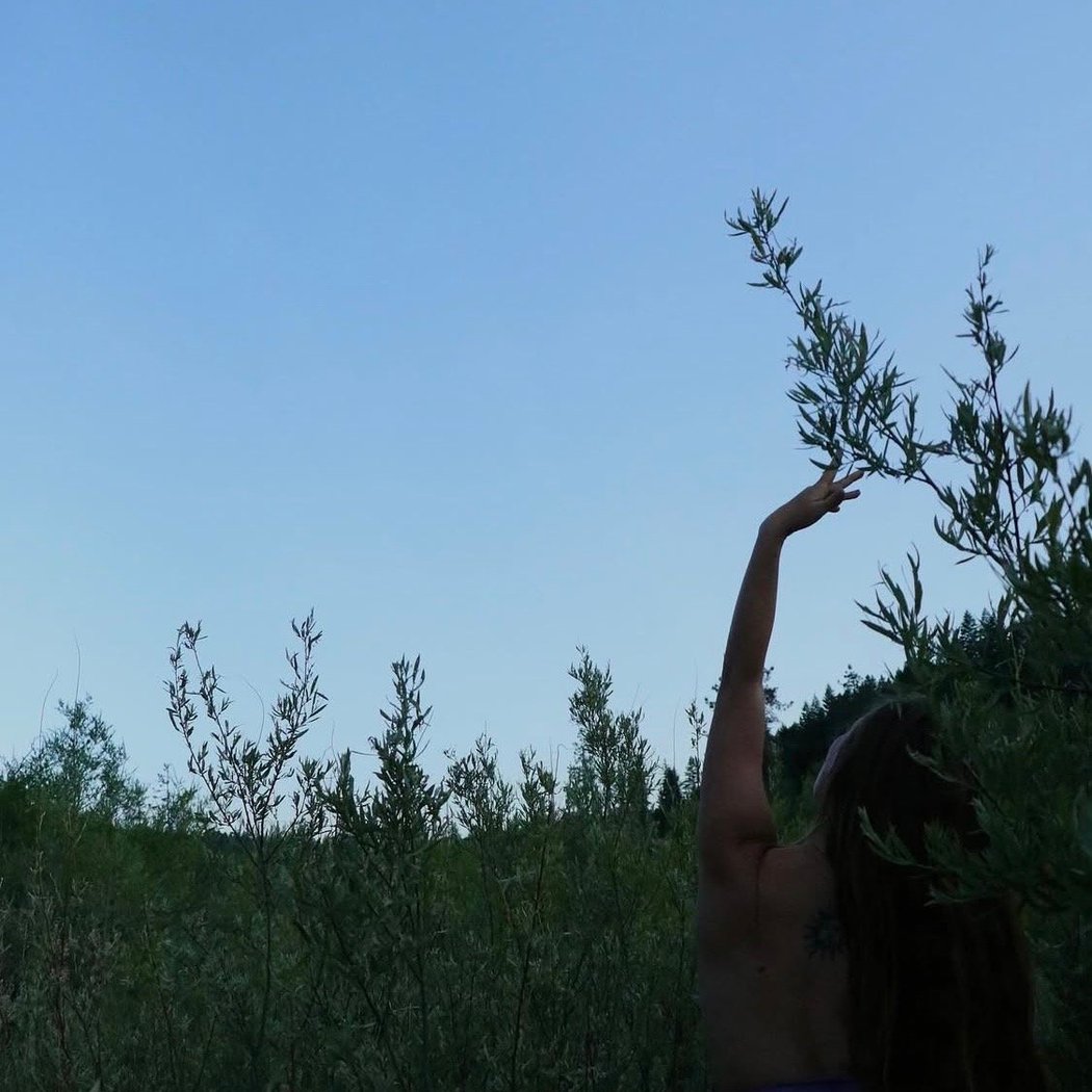 A Vessel for Vision: Somatics, Dance, and Yoga Nidra for Inner Alignment 2