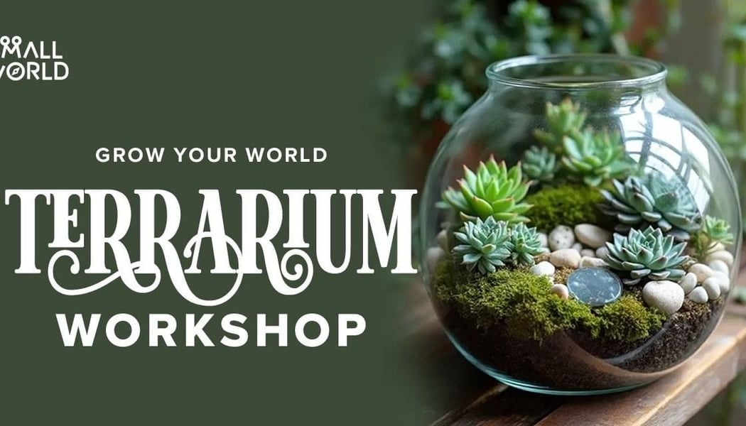 DIY Terrarium Workshop 1