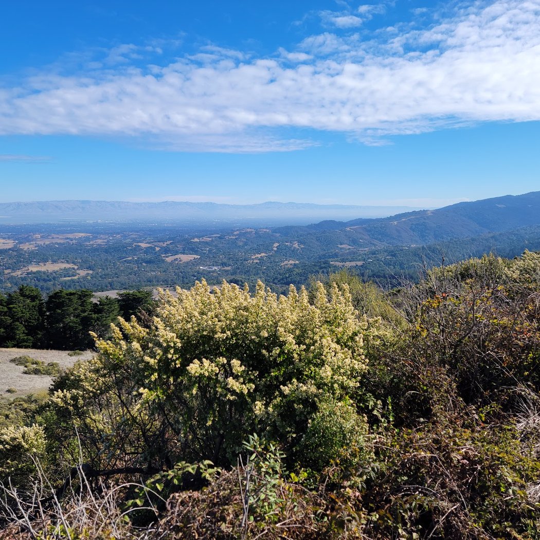 Windy Hill Summit 3