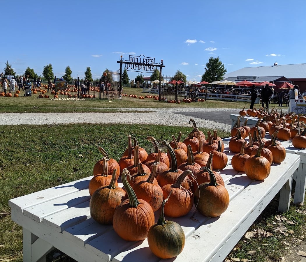Fall Festivities 1