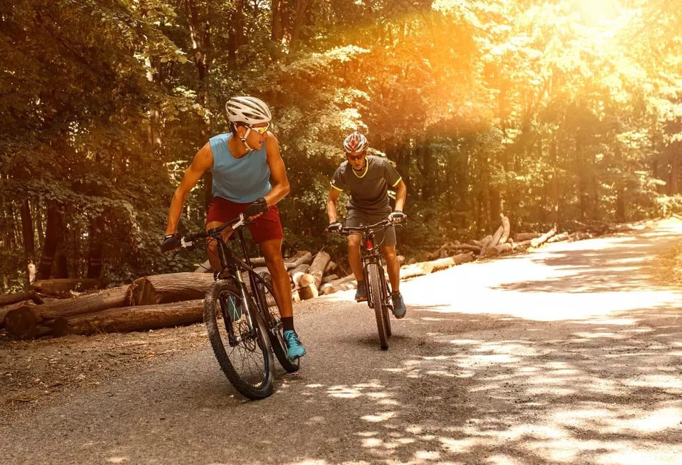 TRT Bicycles 1