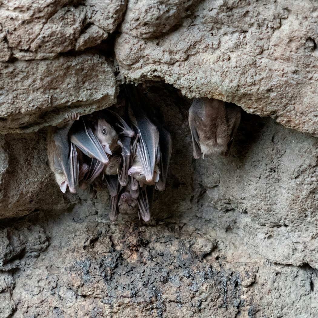 SPOOKY NATURE Free Family-Friendly Event 2