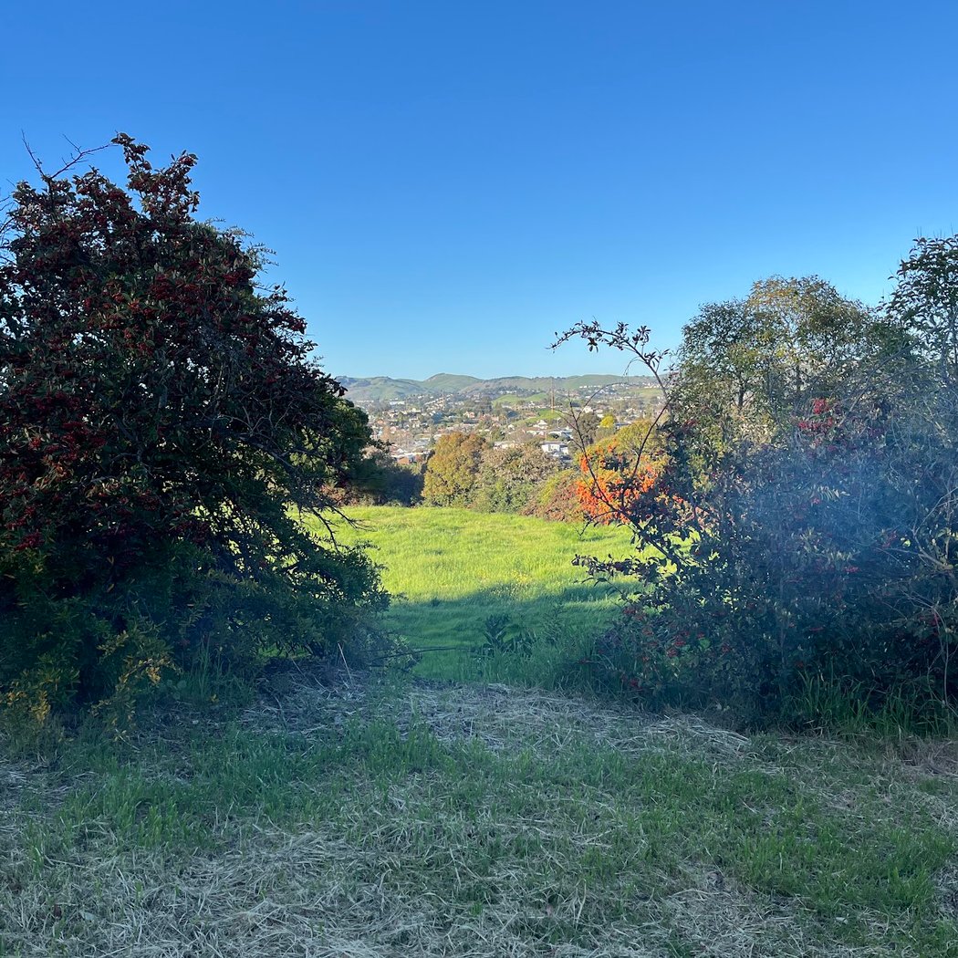 Beverly Hills Park 2