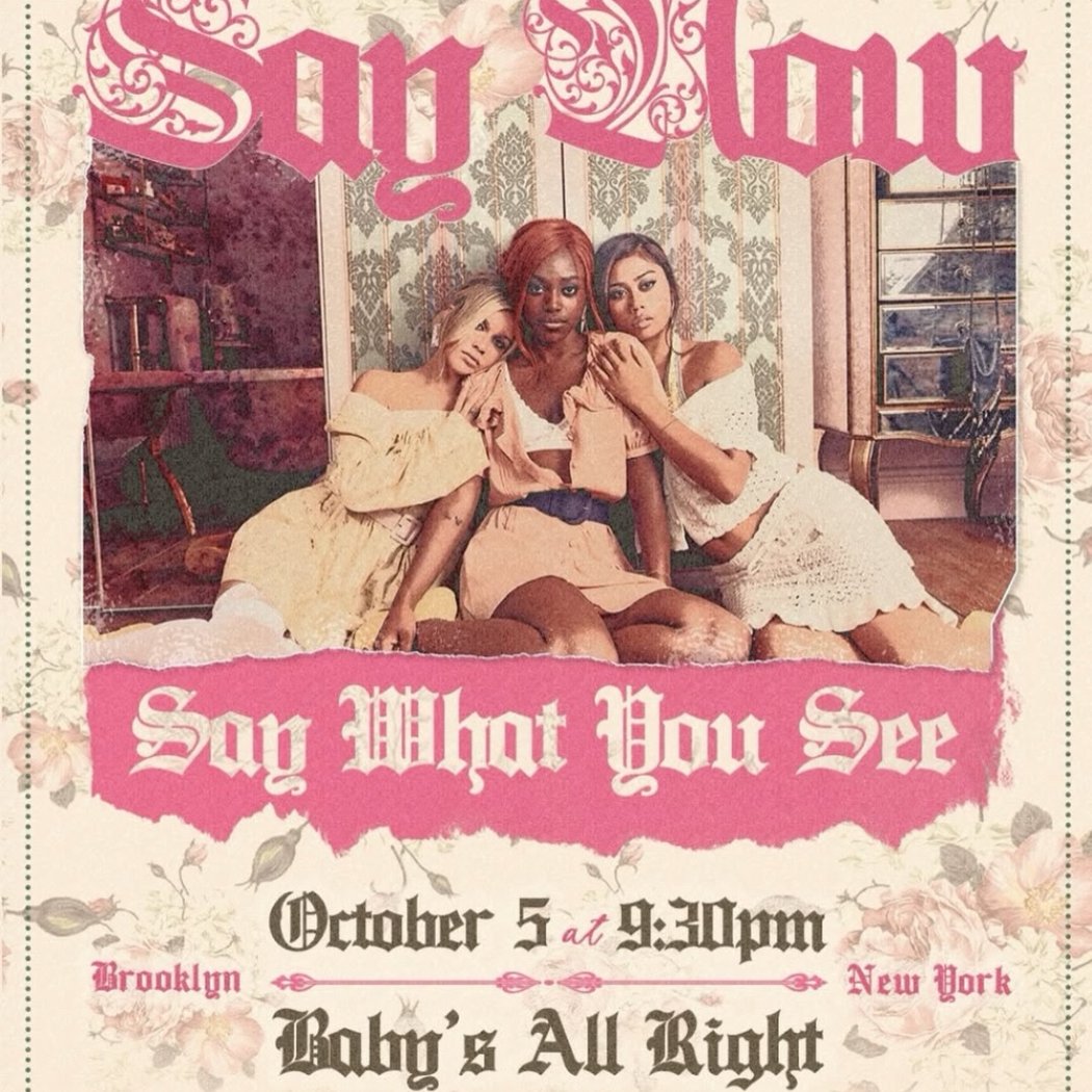 Say Now Say What You See