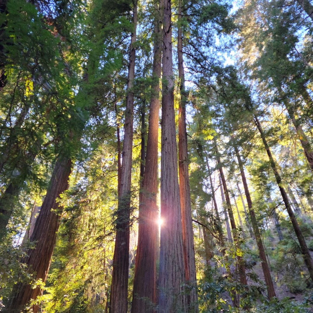 Schoolhouse Canyon Campground 1