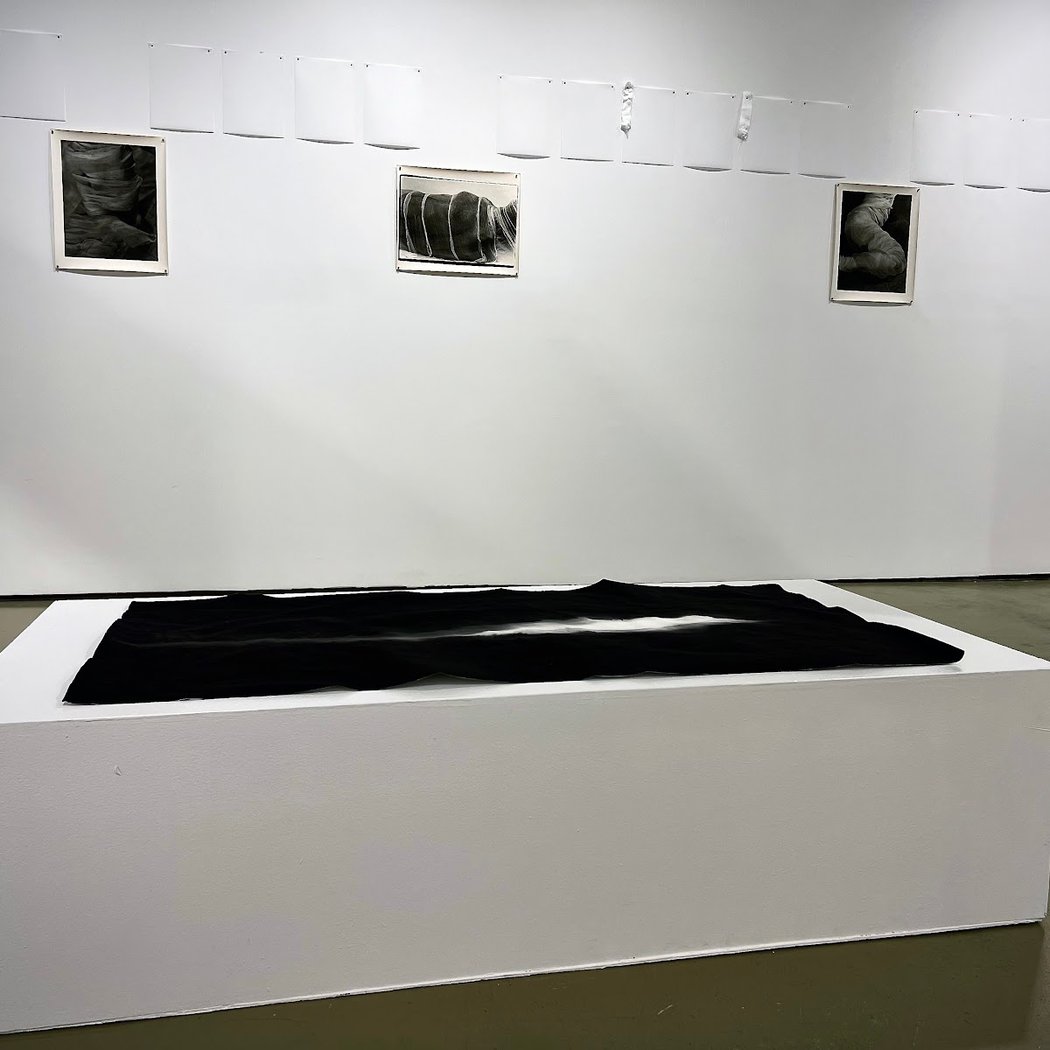 Artist Talks and Gallery Crawl 5