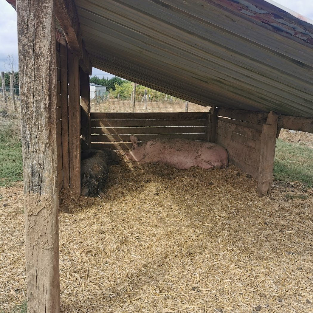 Ferme Pedagogique La Grange Aux Moines 3