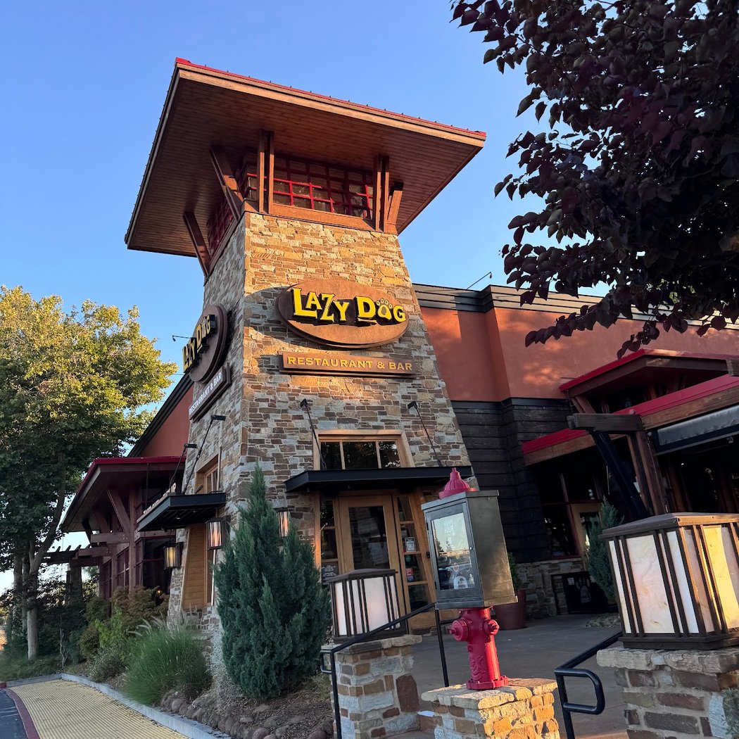 Lazy Dog Restaurant & Bar 2