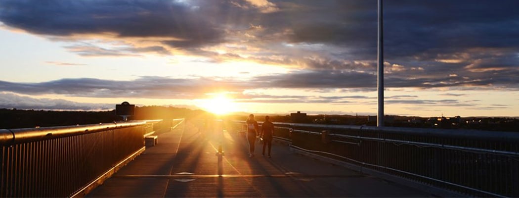 Sunrise Stroll 1