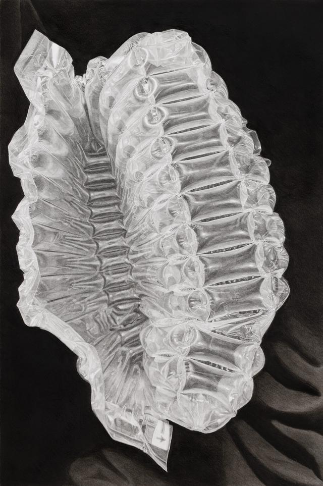 Ilana Dotan: Shelf Life
