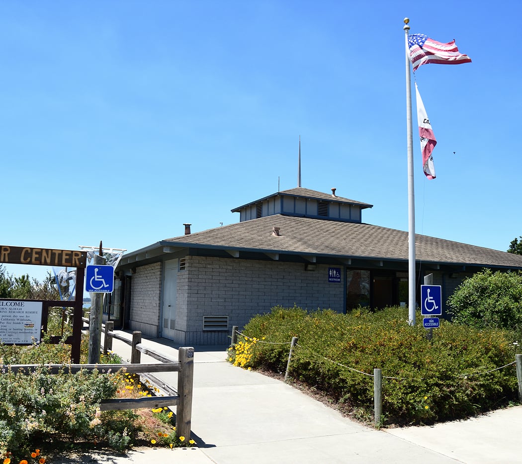Elkhorn Slough Free Tour of the Preserve 2