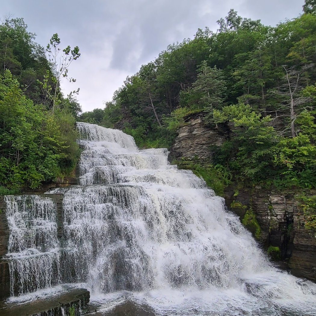 Hector Falls 2