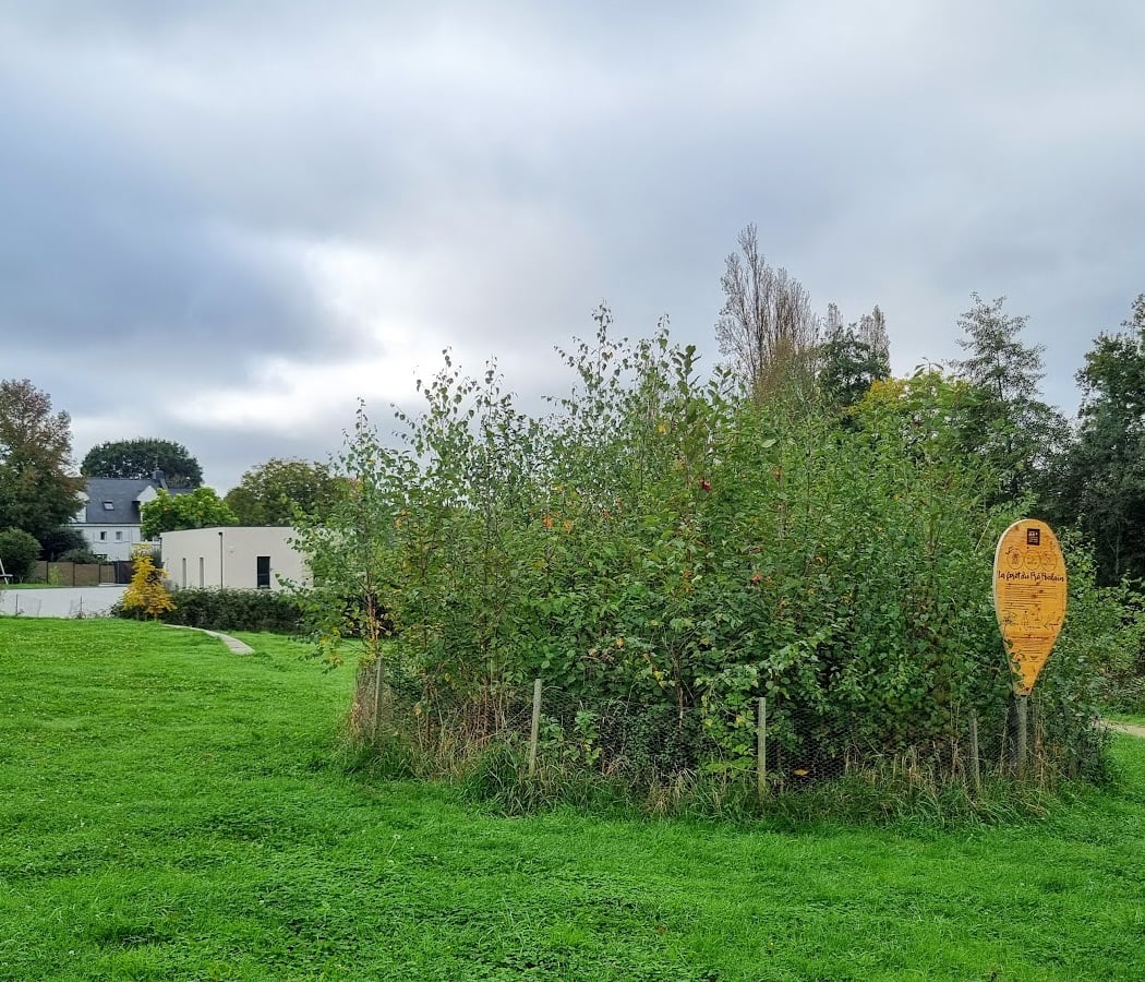 La forêt du Pré Poulain 2