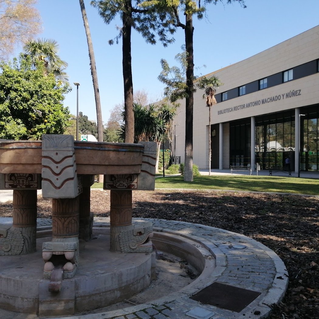 Redes De Bibliotecas En Sevilla 2