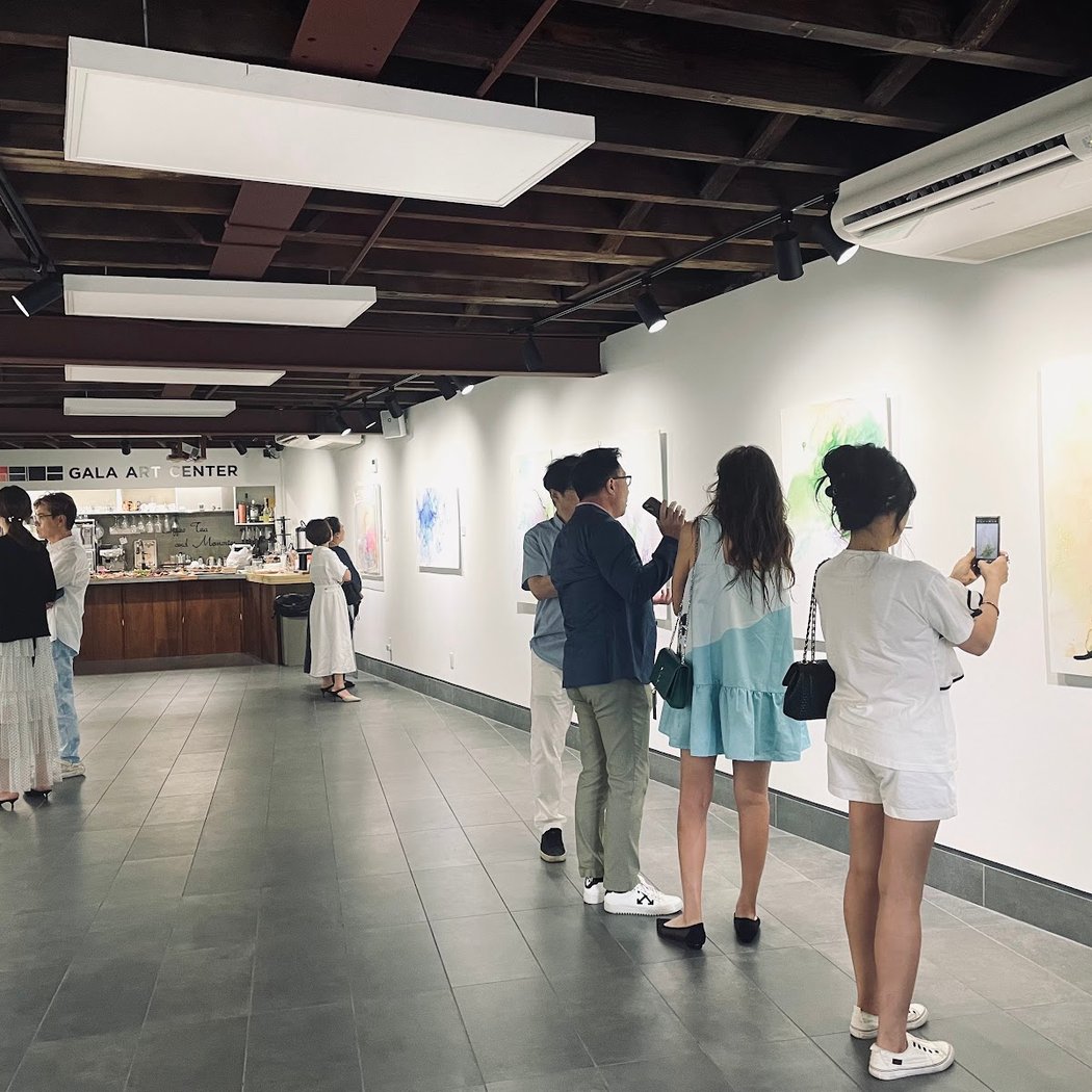Gala Art Center 2