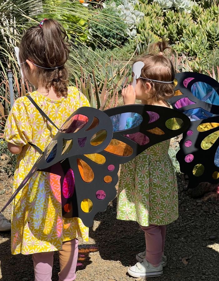 Pollinator & Friends Day 2