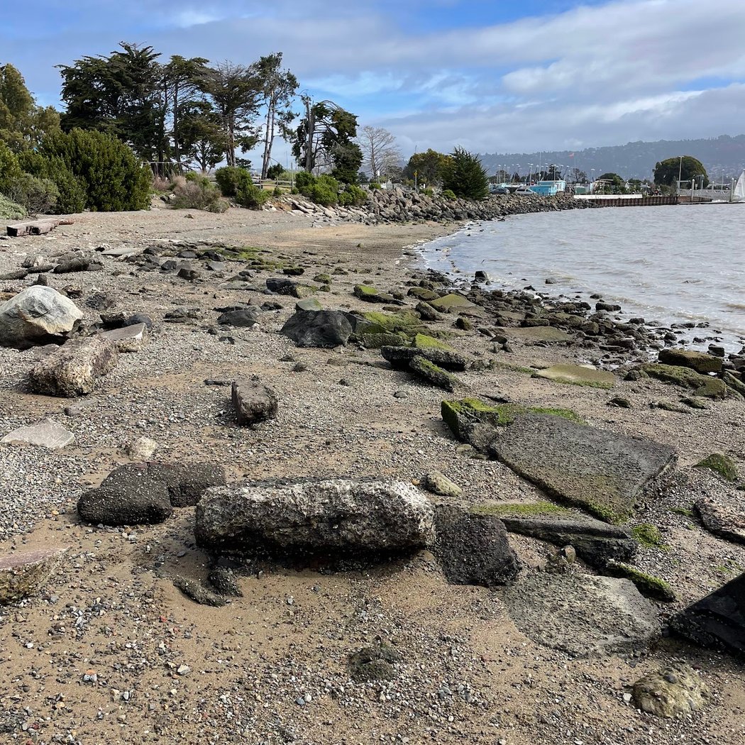 Shorebird Beach 2