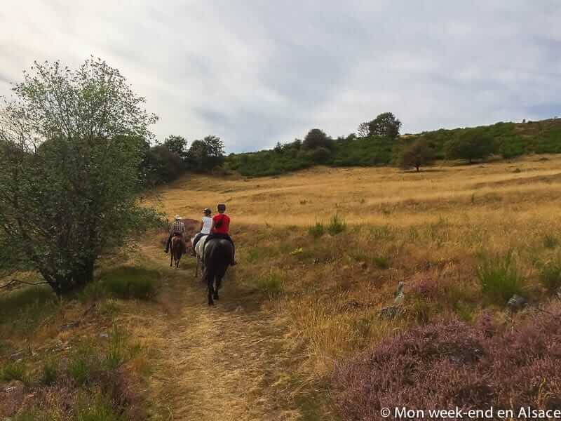 Horseback Riding Trails at Cheval Alsace 2