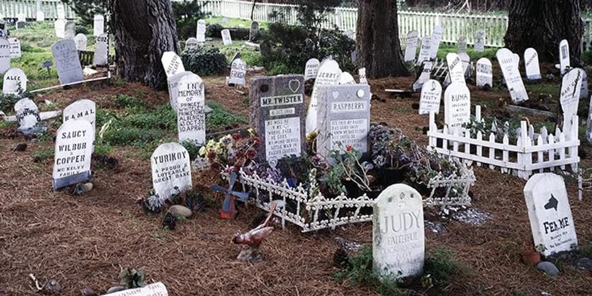 Presidio Pet Cemetery 2