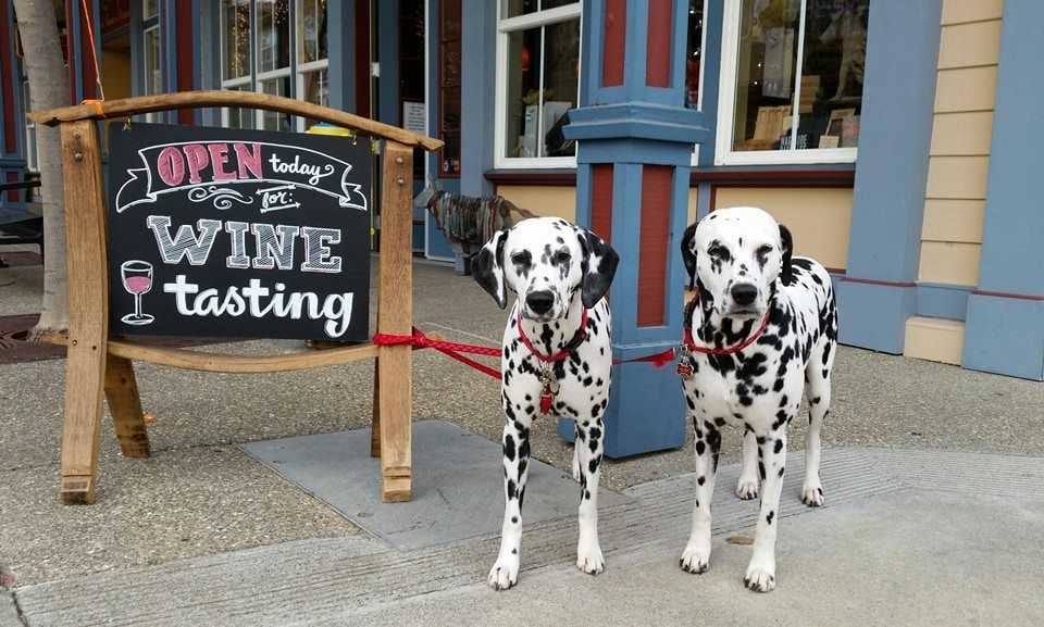 Mutt Lynch Winery 1