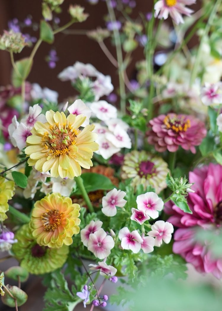 Le Jardin Flower Farm 1