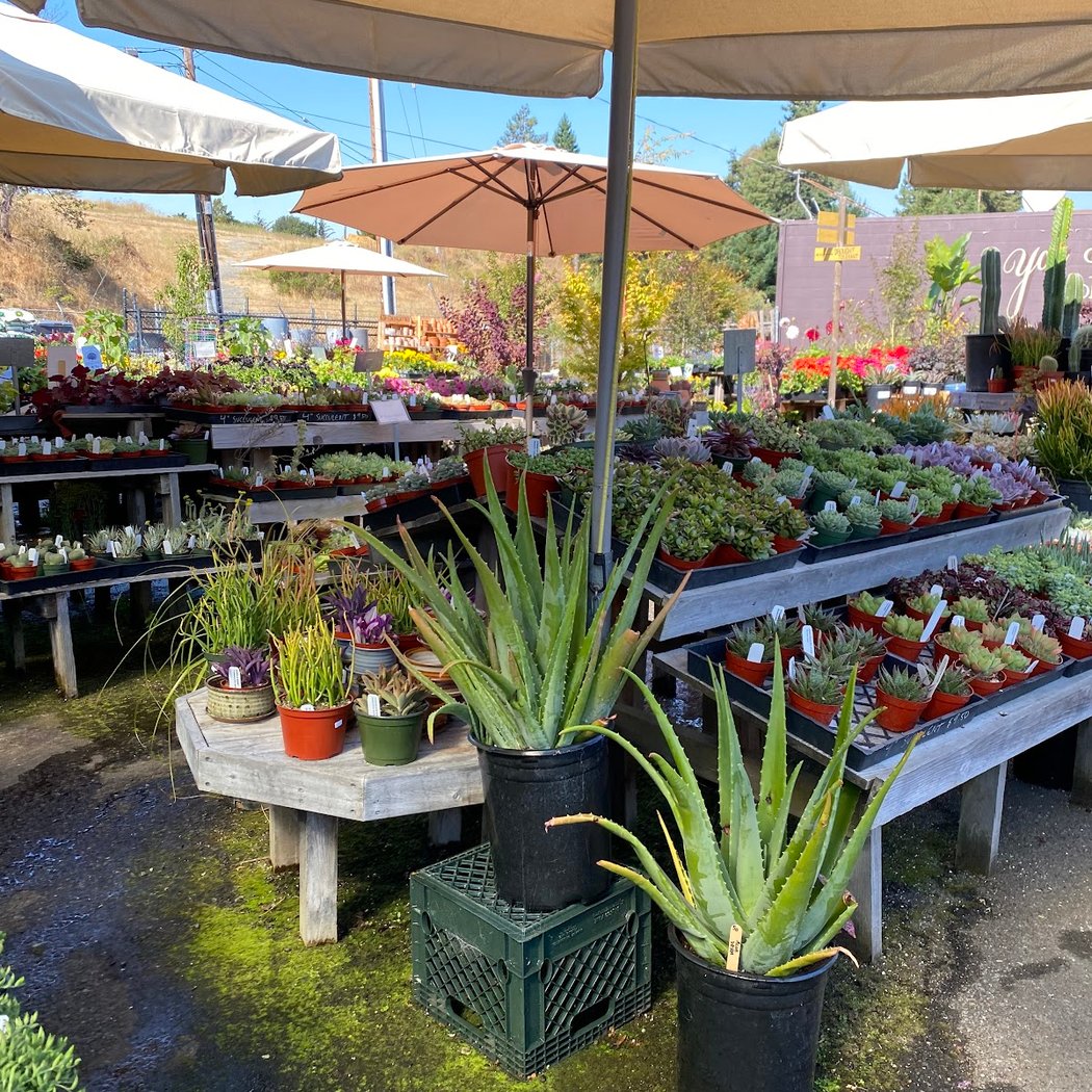Broadway Terrace Nursery 2