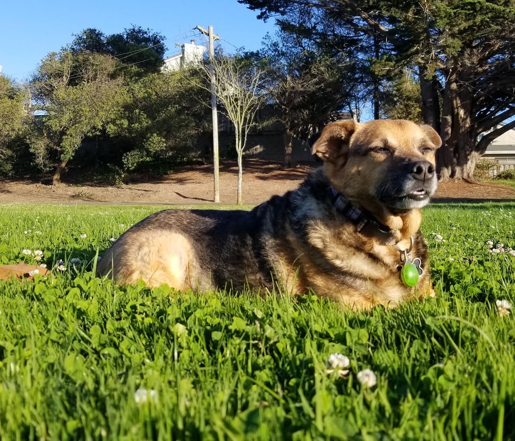 Avalon Park 1