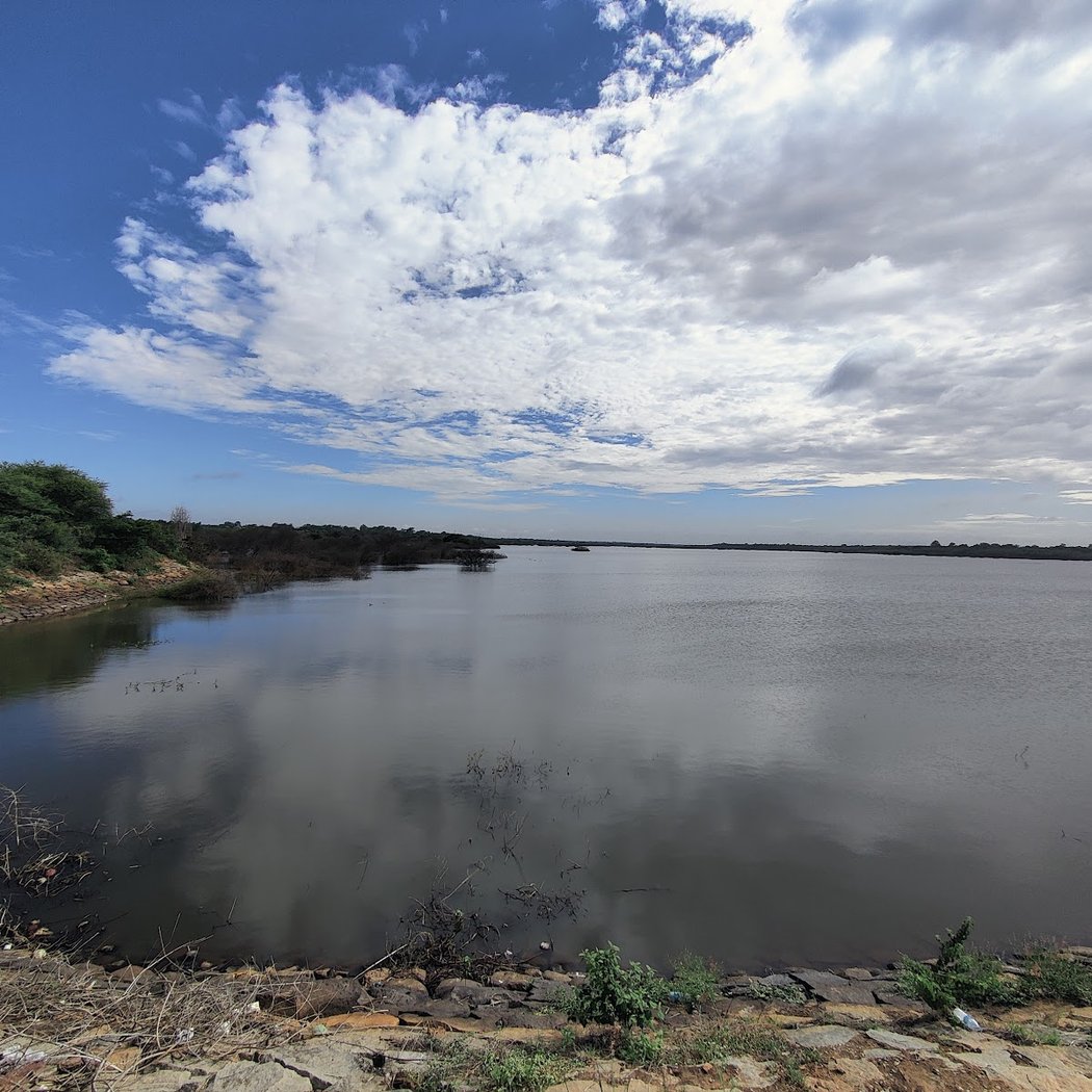 Hesaraghatta Lakebed 3
