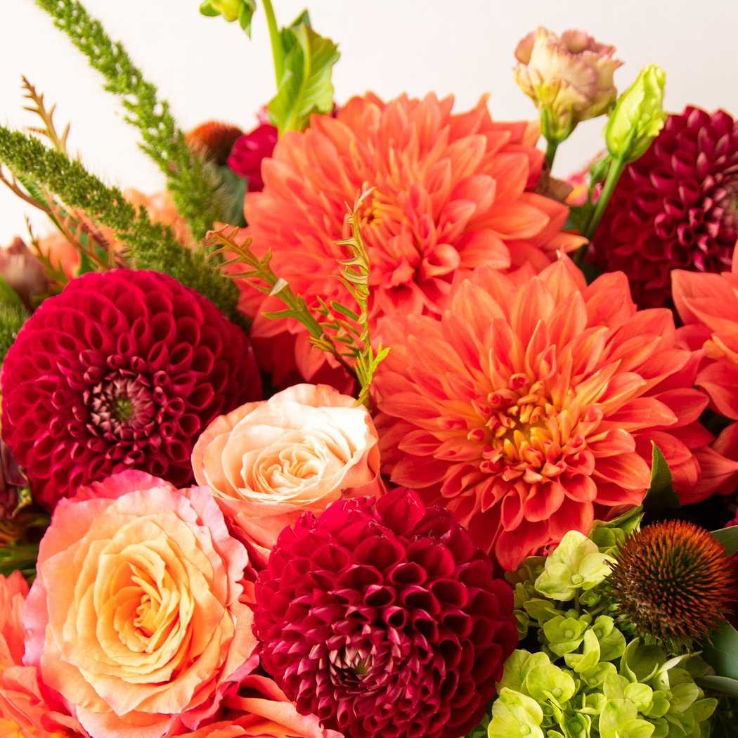 Scotts Flowers 4
