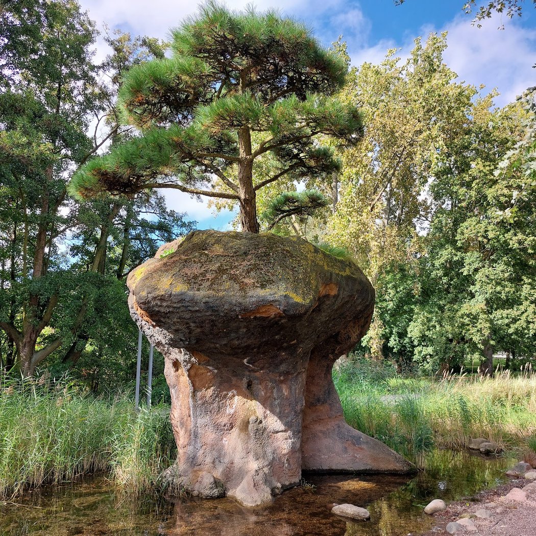 Wilhelmsburg Island Park 2