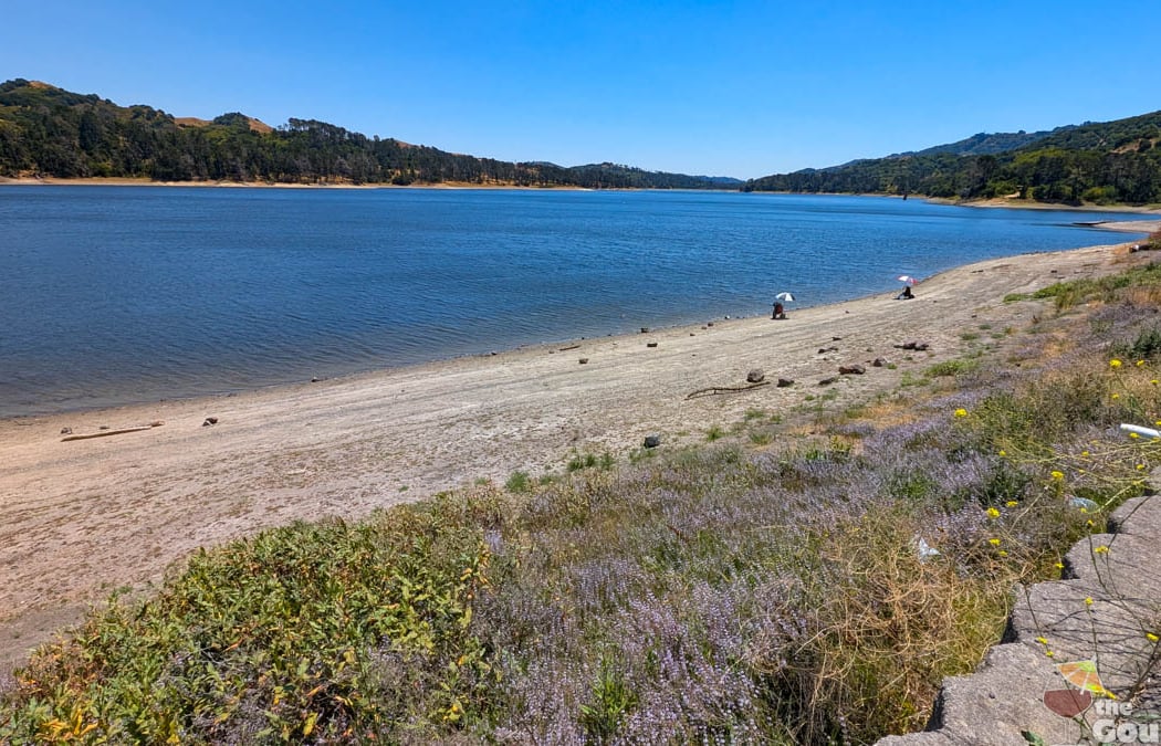 San Pablo Reservoir Oaks Picnic Area 2