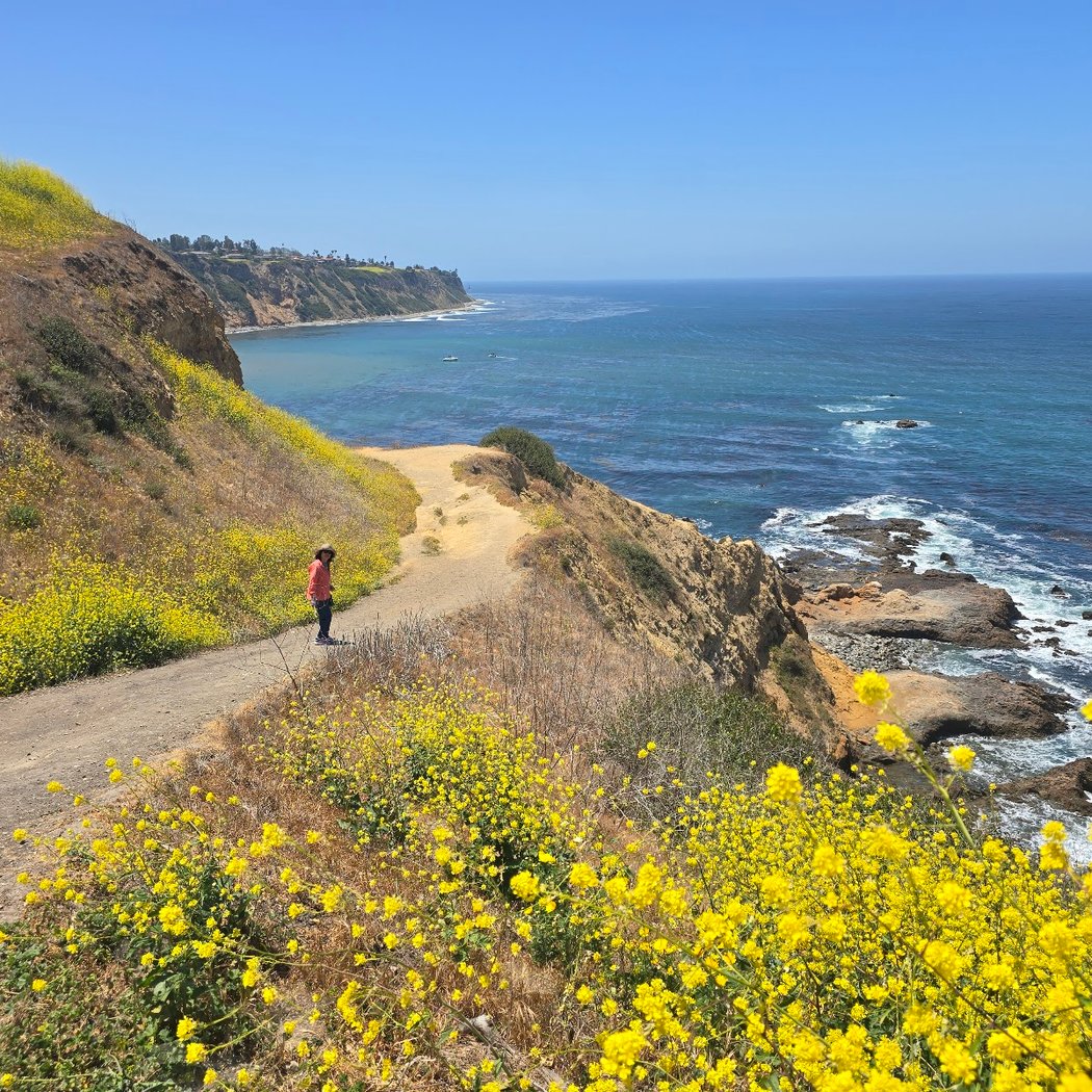 Bluff Cove Trail 1
