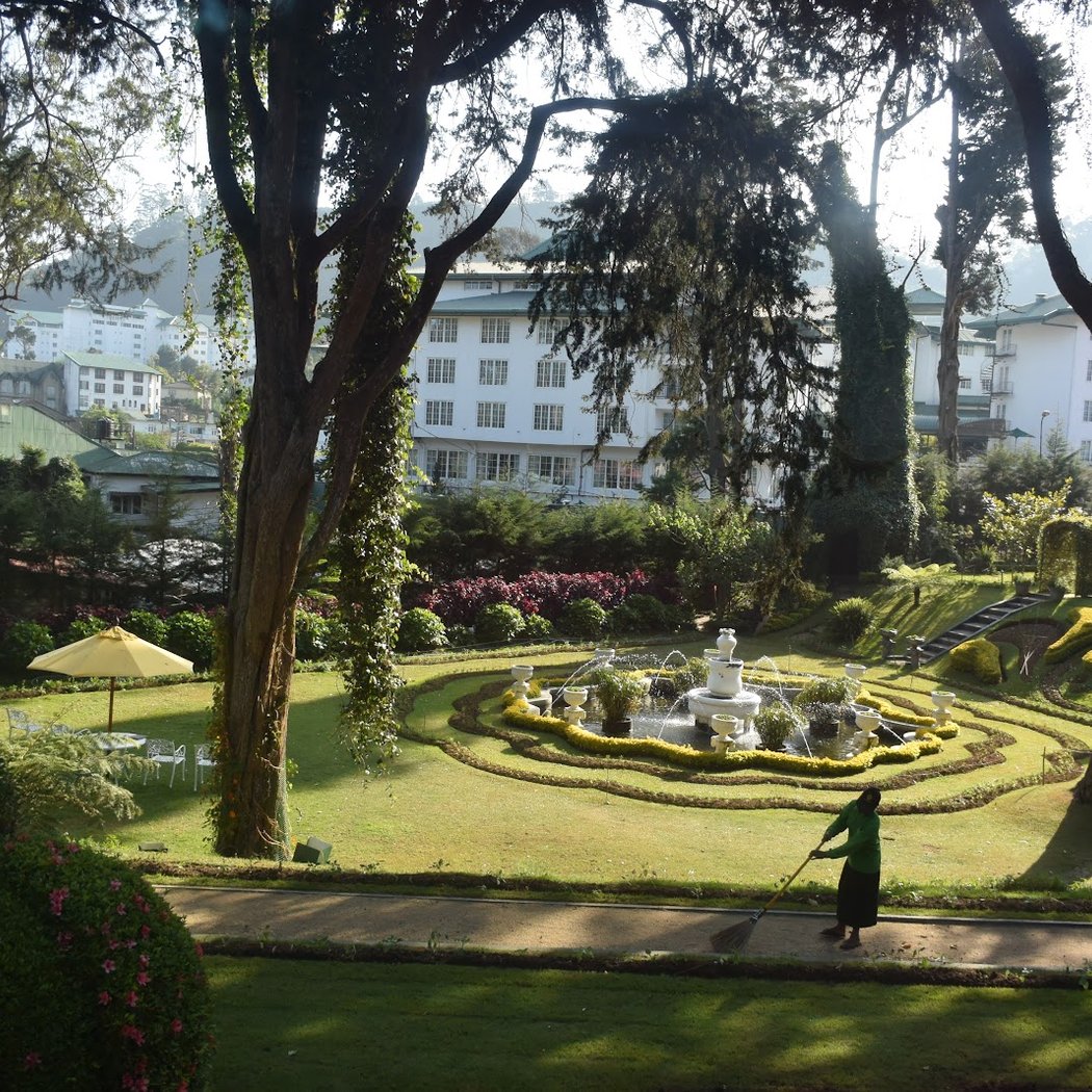 Nuwara Eliya 3
