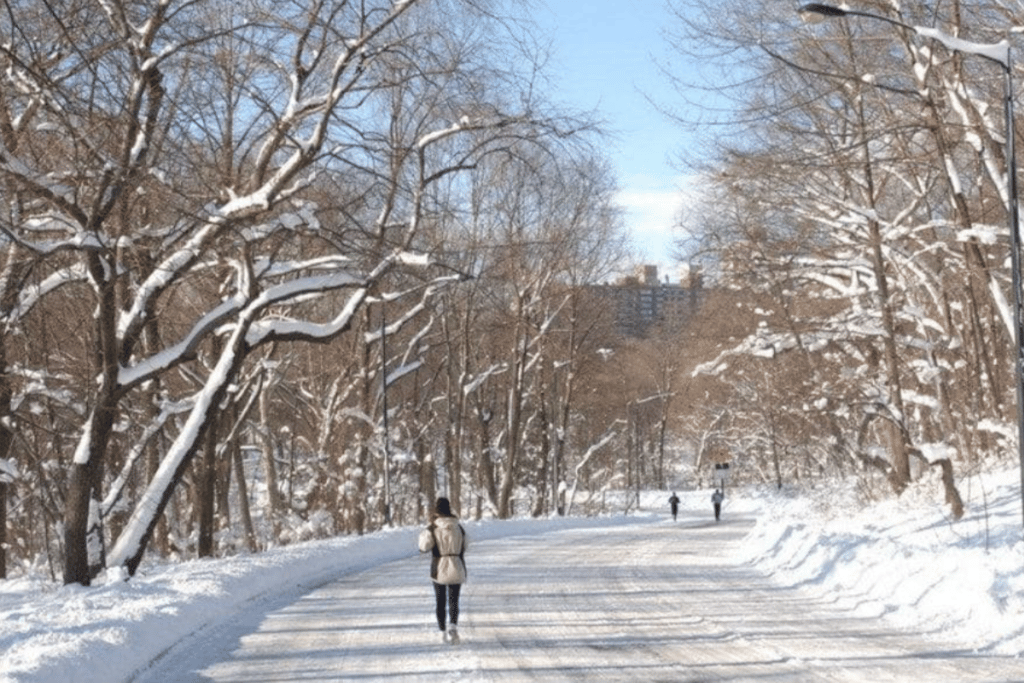 Forest Park Hiking Trails 2