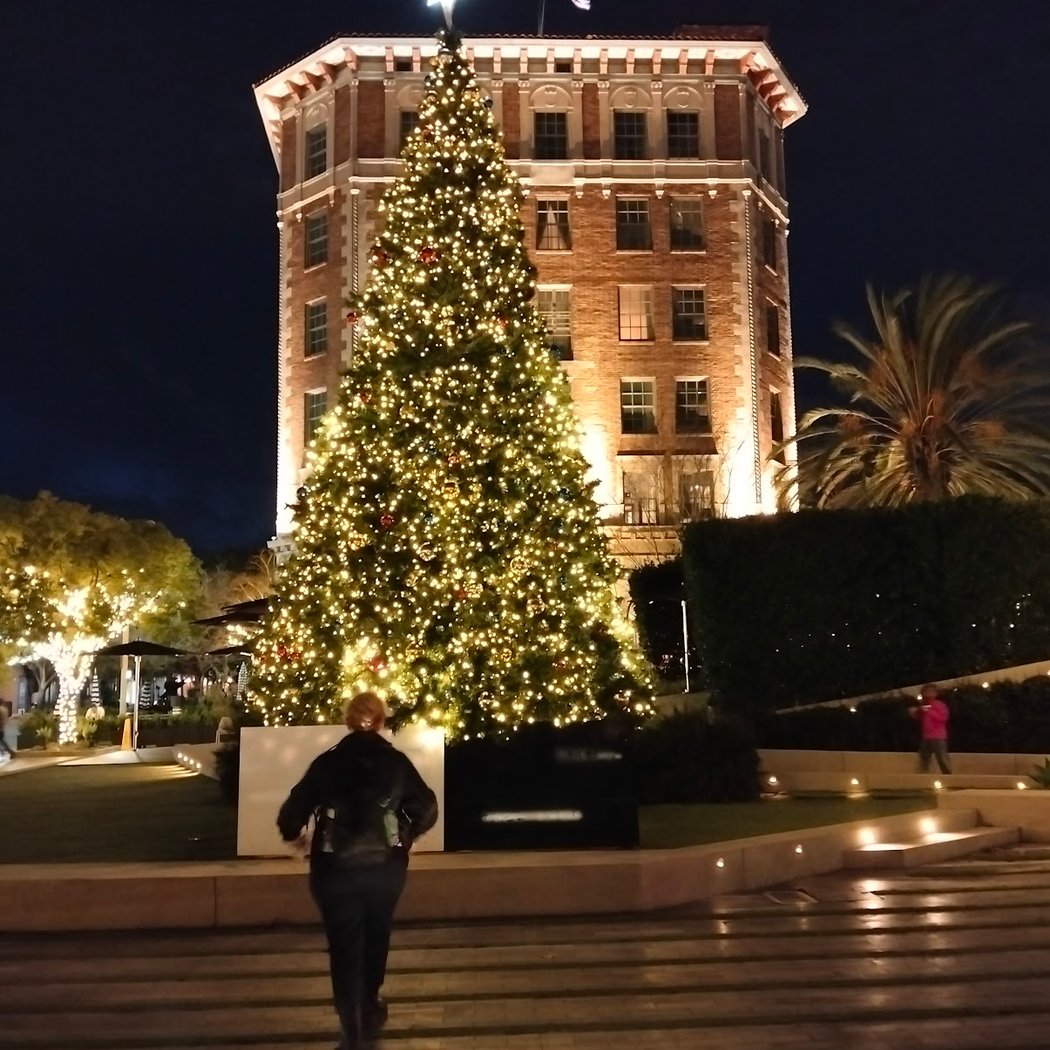 Culver City Tree Lighting