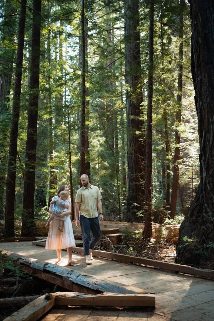 Roy's Redwoods Open Space Preserve 1