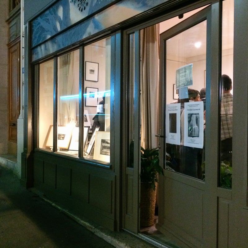 Un arbre dans la ville : Sarah Grace Henkel 3