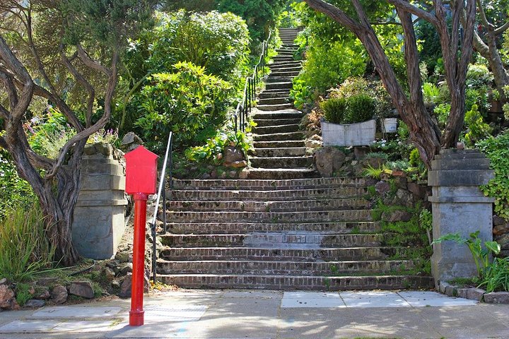 San Francisco Urban Hike: Castro and Twin Peaks 2
