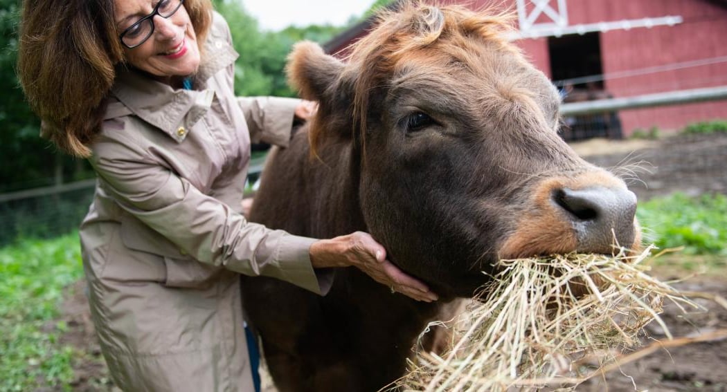 Fun on the Farm 1