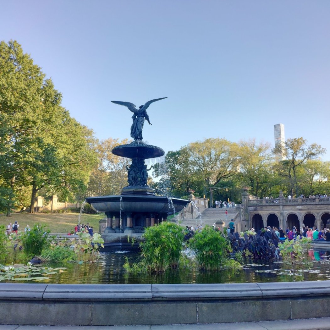 Master Your Camera Controls - Central Park - Photography Class by Classpop!TM 3